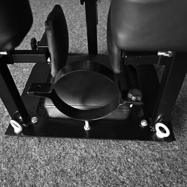Dominatrix Seat with Head Neck Wrist fixation - Image 3