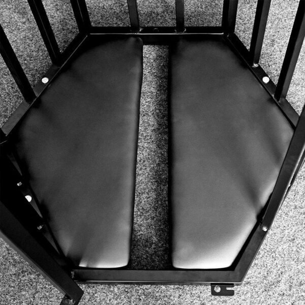BDSM Hex Steel Hanging Cage with Neck & Wrist Pillory - Image 3