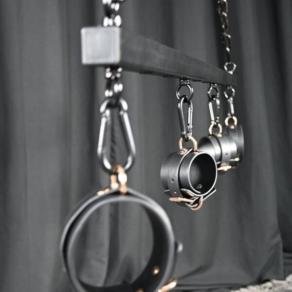 Steel Pillory straight-line type - Image 8