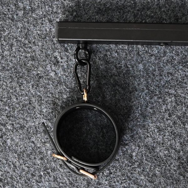 Steel Pillory straight-line type - Image 6