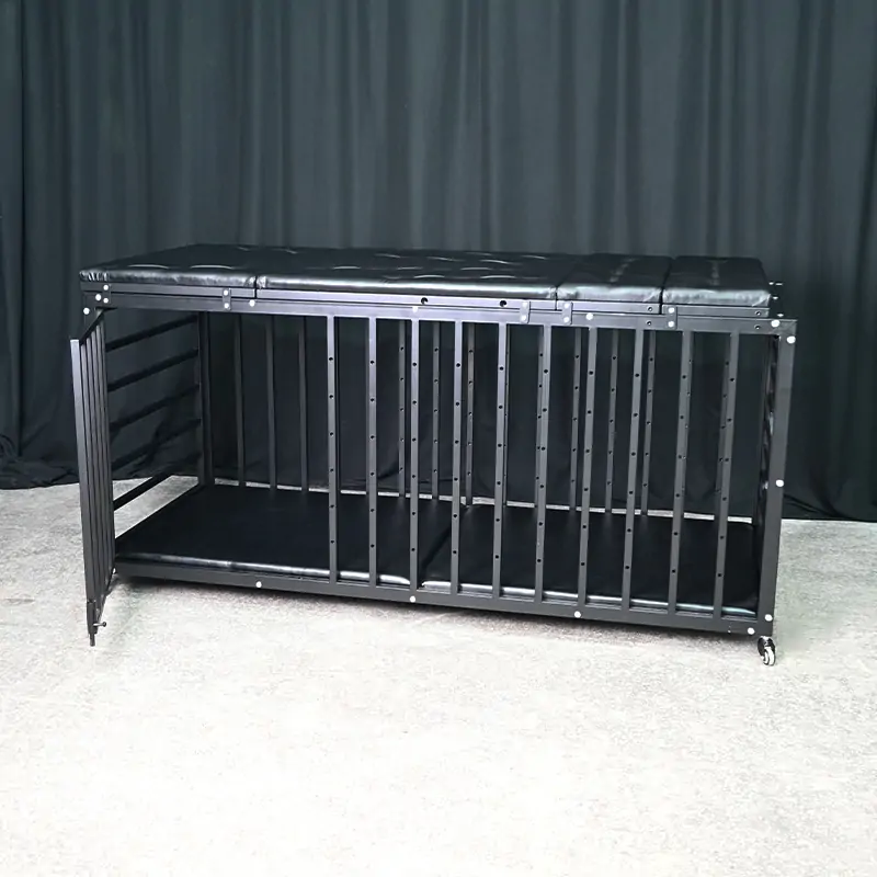 BDSM Cage