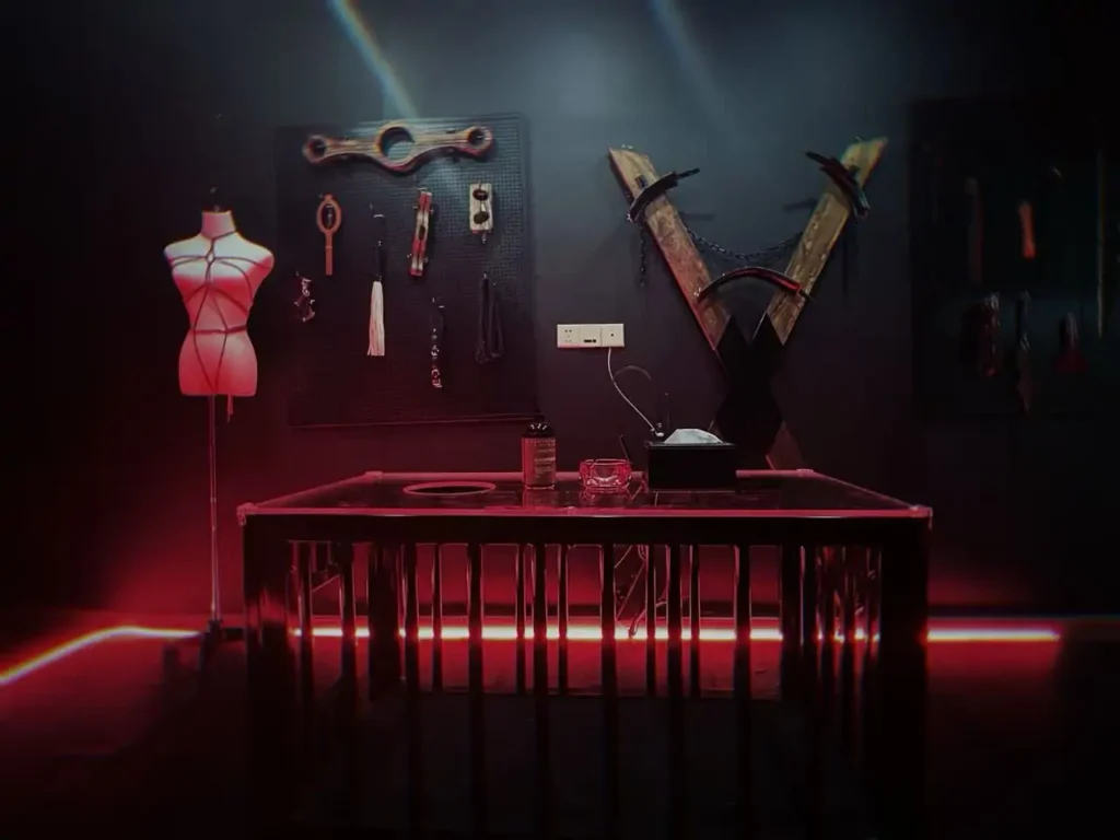 Bespoke bondage cage and playroom interior design