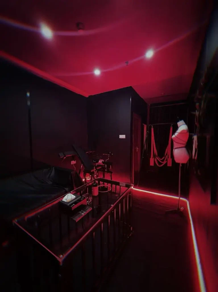 Custom BDSM dungeon and playroom interior design